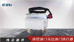 徐挖挖機油門馬達(24V) 800141099